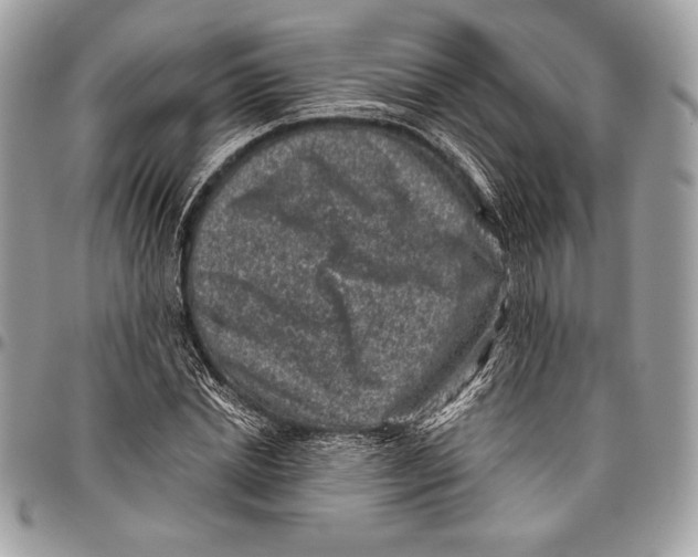 X0000096130830200802081323
