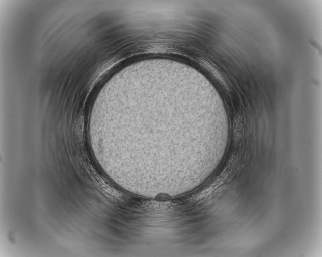 X0000096130831200802081323