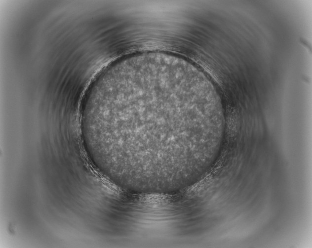 X0000096130832200802081323
