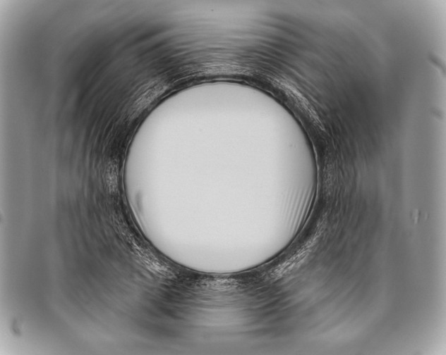 X0000096130833200802081323