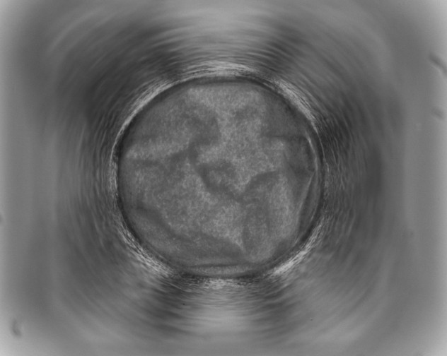 X0000096130835200802081323