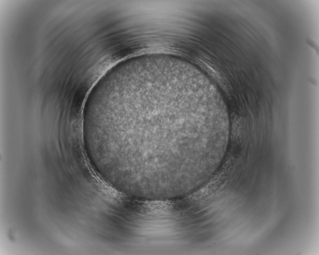 X0000096130836200802081323