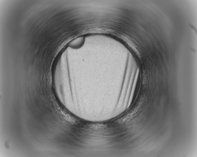 X0000096130837200802081323