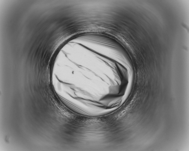 X0000096130838200802081323