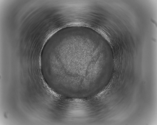 X0000096130839200802081323