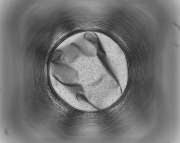 X0000096130840200802081324