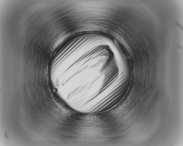 X0000096130842200802081324