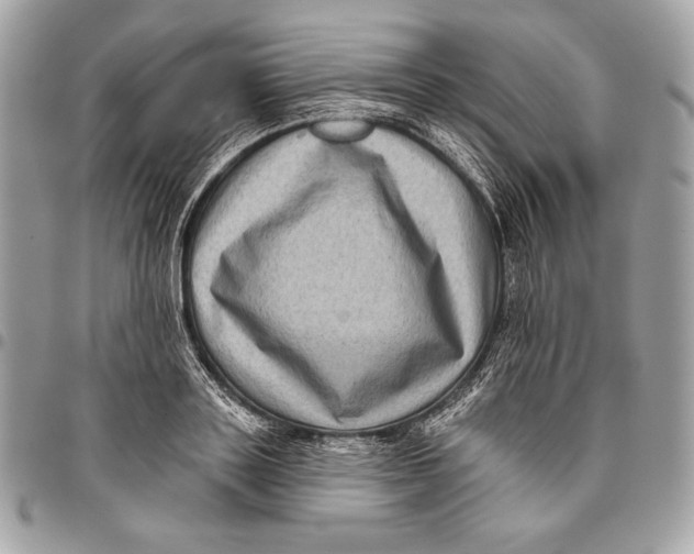 X0000096130843200802081324