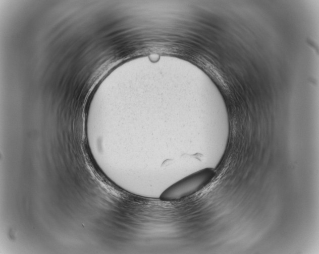 X0000096130844200802081324