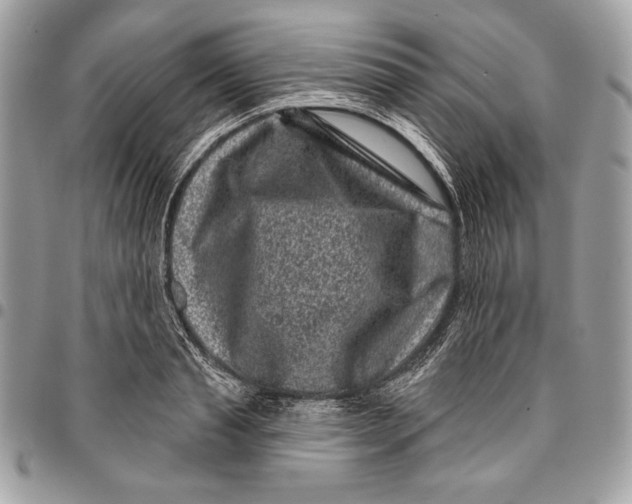 X0000096130845200802081324