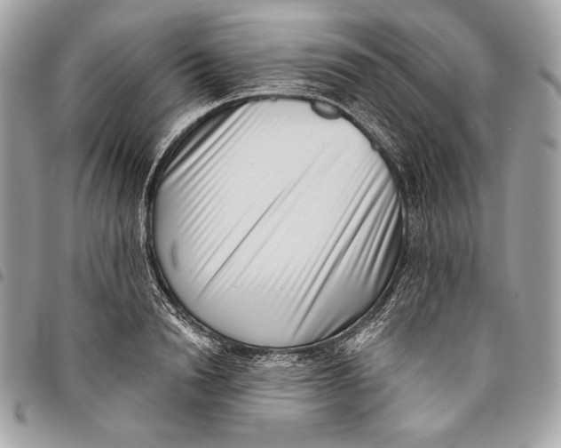 X0000096130846200802081324