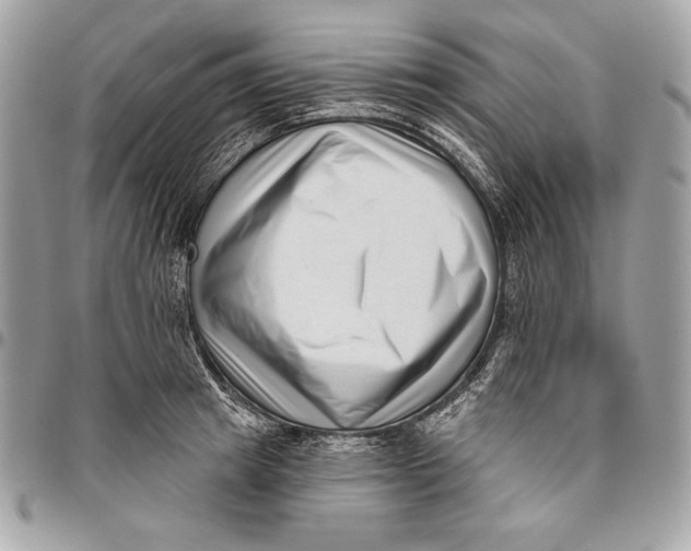 X0000096130849200802081324
