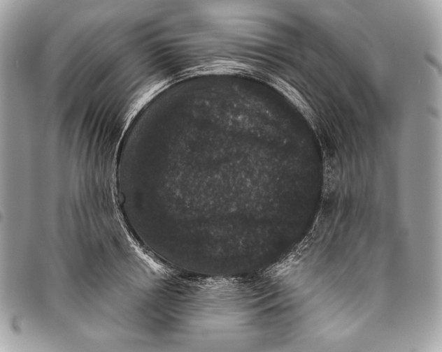 X0000096130850200802081324