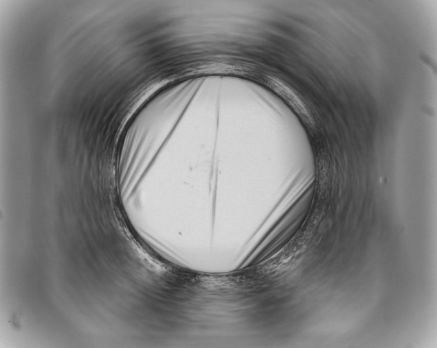 X0000096130852200802081324