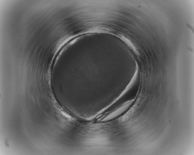 X0000096130854200802081324