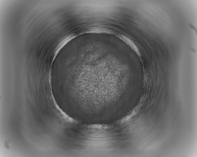 X0000096130855200802081324
