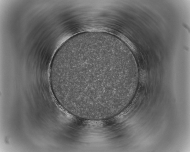 X0000096130856200802081324