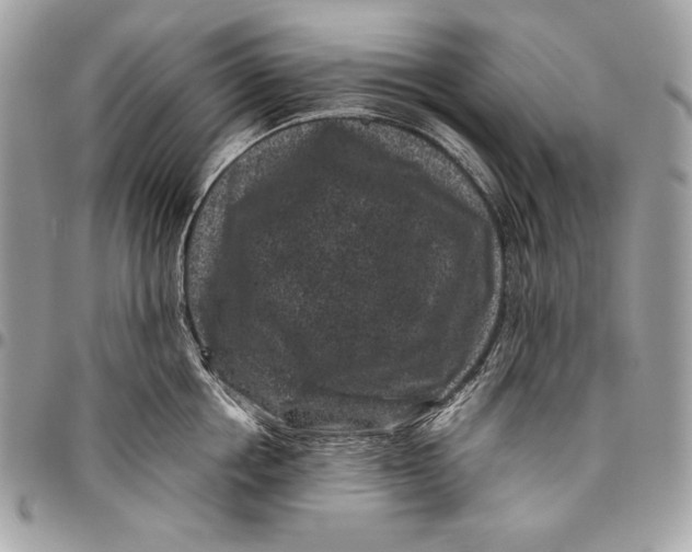 X0000096130858200802081324