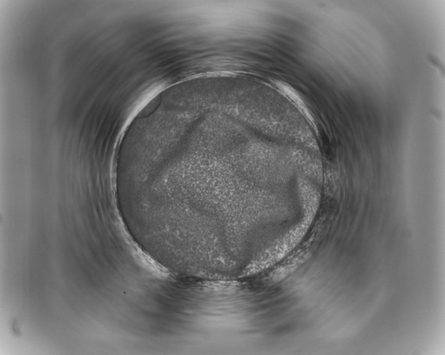 X0000096130859200802081324