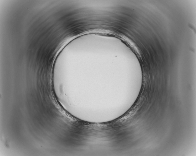 X0000096130860200802081324