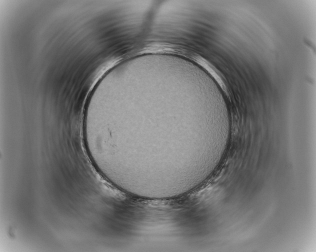 X0000096130861200802081324