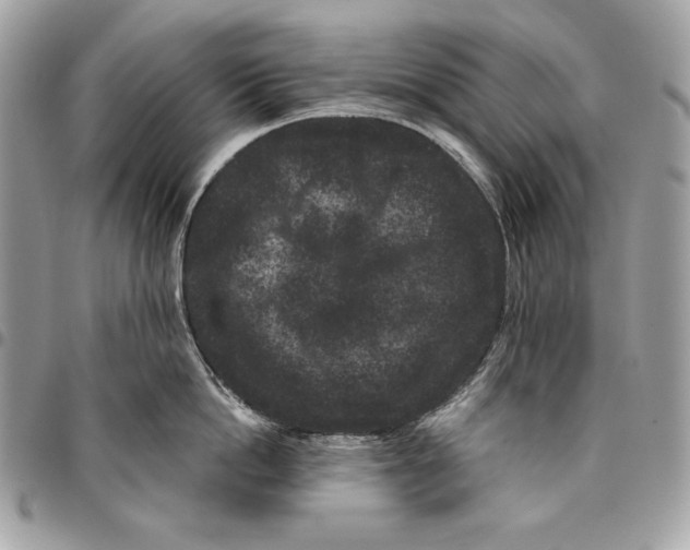 X0000096130862200802081324