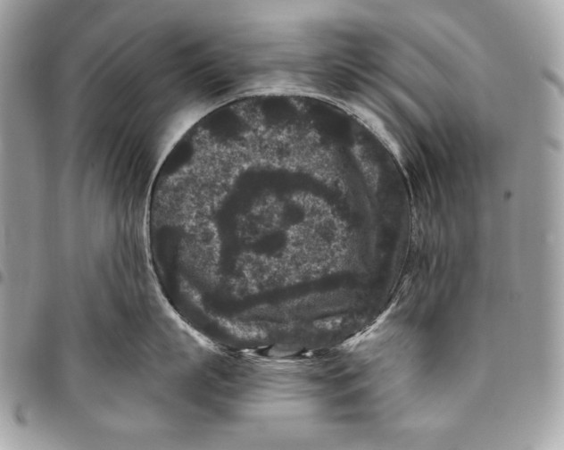 X0000096130863200802081324