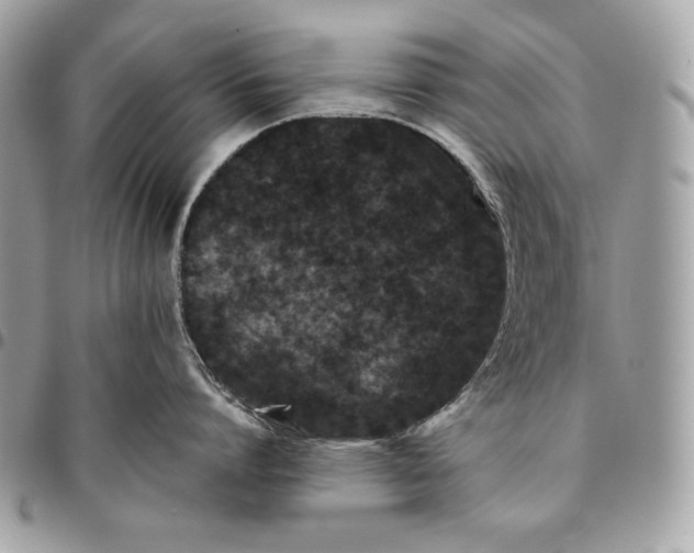 X0000096130864200802081324