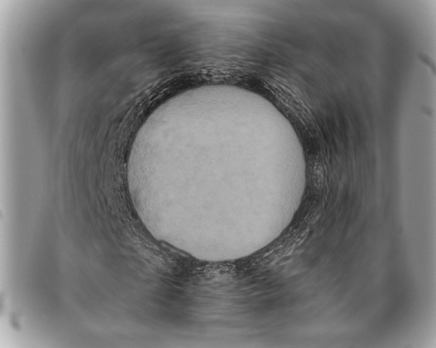 X0000096130865200802081323