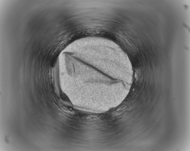 X0000096130867200802081323