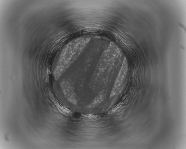 X0000096130868200802081323