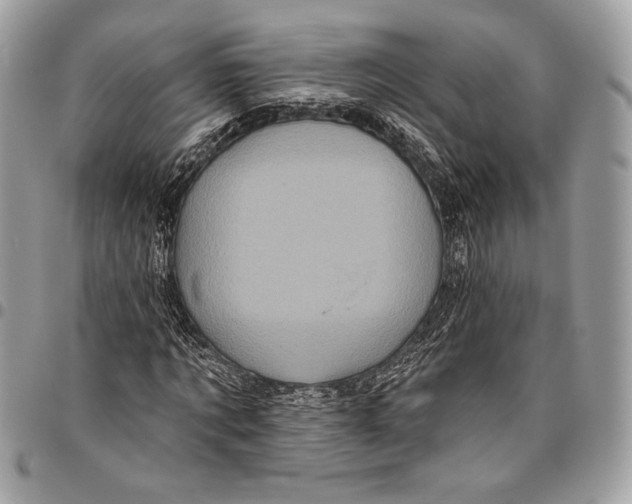 X0000096130869200802081323