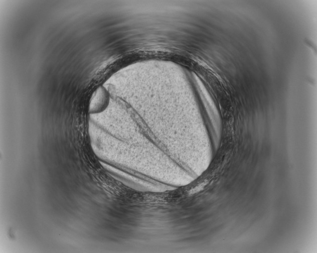 X0000096130870200802081323