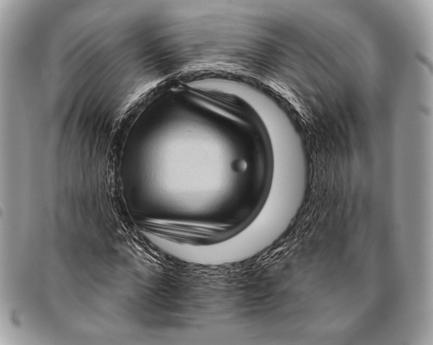 X0000096130872200802081323