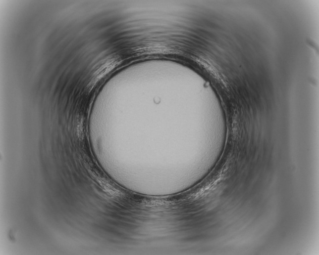X0000096130873200802081323