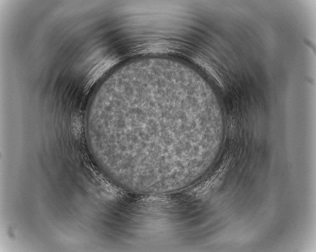 X0000096130874200802081323