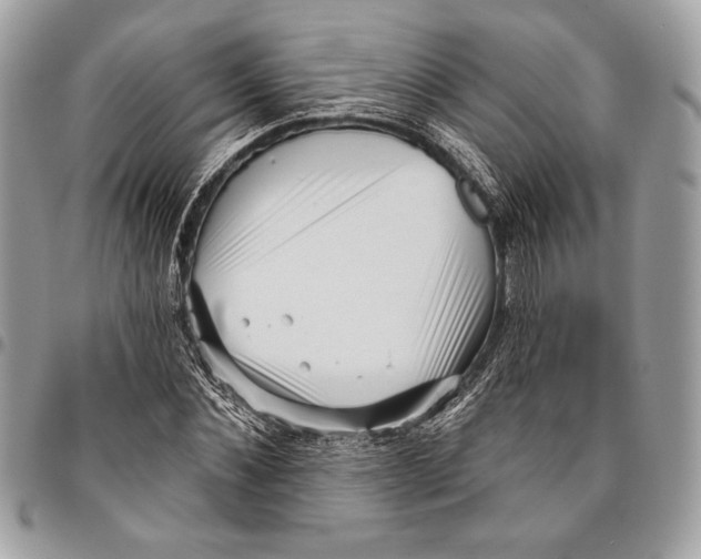 X0000096130876200802081323