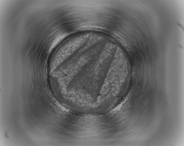 X0000096130877200802081323