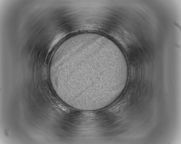 X0000096130878200802081323