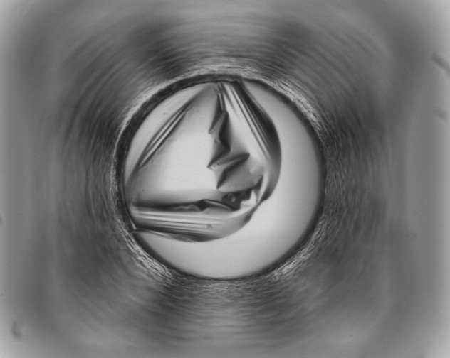 X0000096130880200802081323
