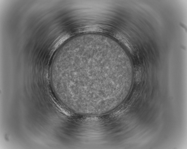 X0000096130882200802081323