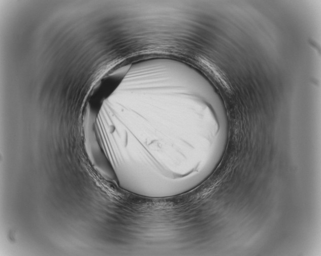 X0000096130884200802081323