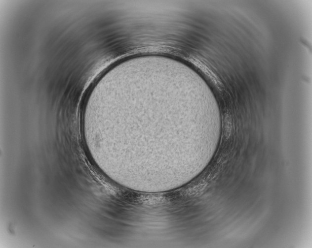 X0000096130886200802081323