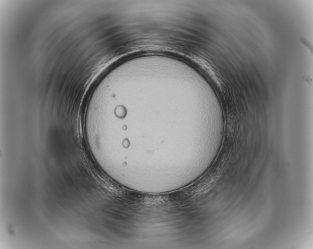 X0000096130887200802081323
