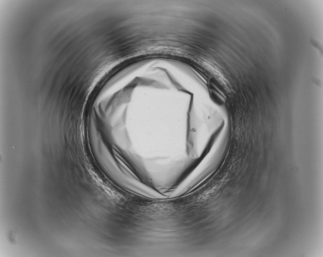 X0000096130888200802081323