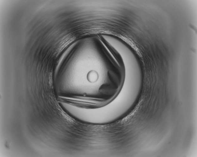 X0000096130889200802081323