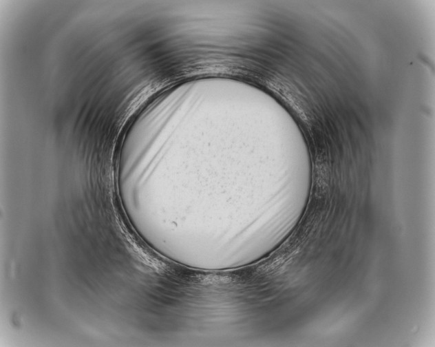 X0000096130890200802081322