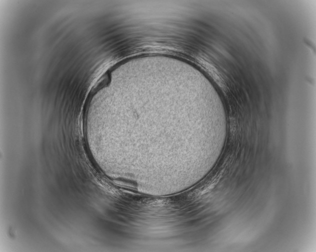 X0000096130891200802081322