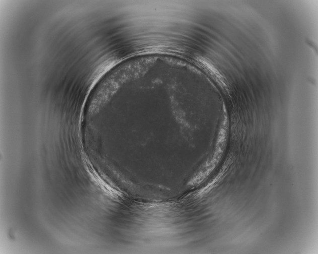 X0000096130892200802081322