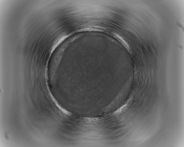 X0000096130893200802081322